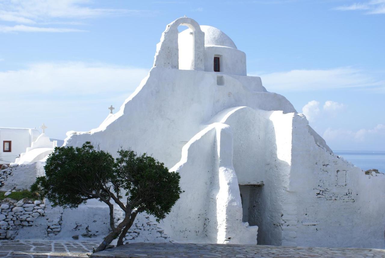 Dionysos Luxury Hotel Mykonos Ornos  Dış mekan fotoğraf