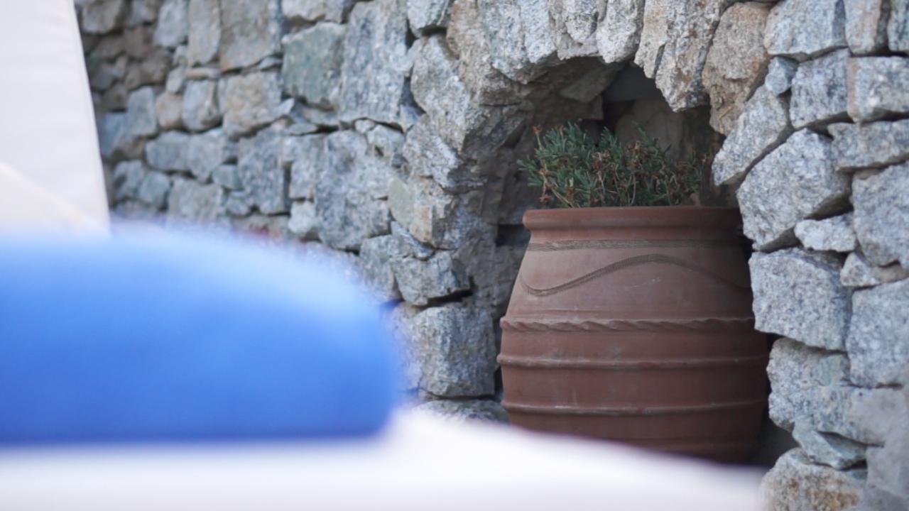 Dionysos Luxury Hotel Mykonos Ornos  Dış mekan fotoğraf